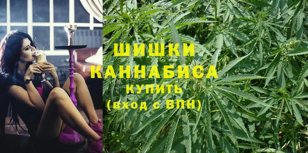 ПСИЛОЦИБИНОВЫЕ ГРИБЫ Михайловск