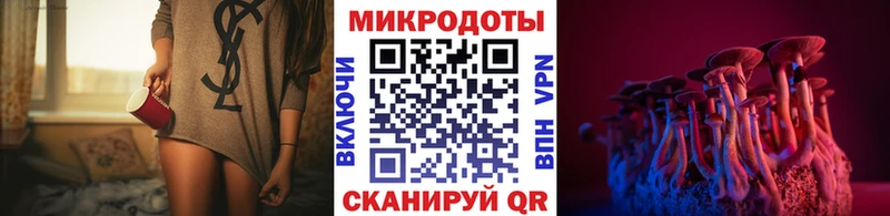 Псилоцибиновые грибы ЛСД мега зеркало Приозерск где можно купить наркотик