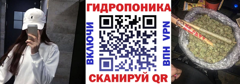 Канабис планчик  blacksprut ONION  Приозерск 